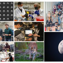 collage of images; moon, scientists, people with masks, researchers, mountain lion and partial image of moon